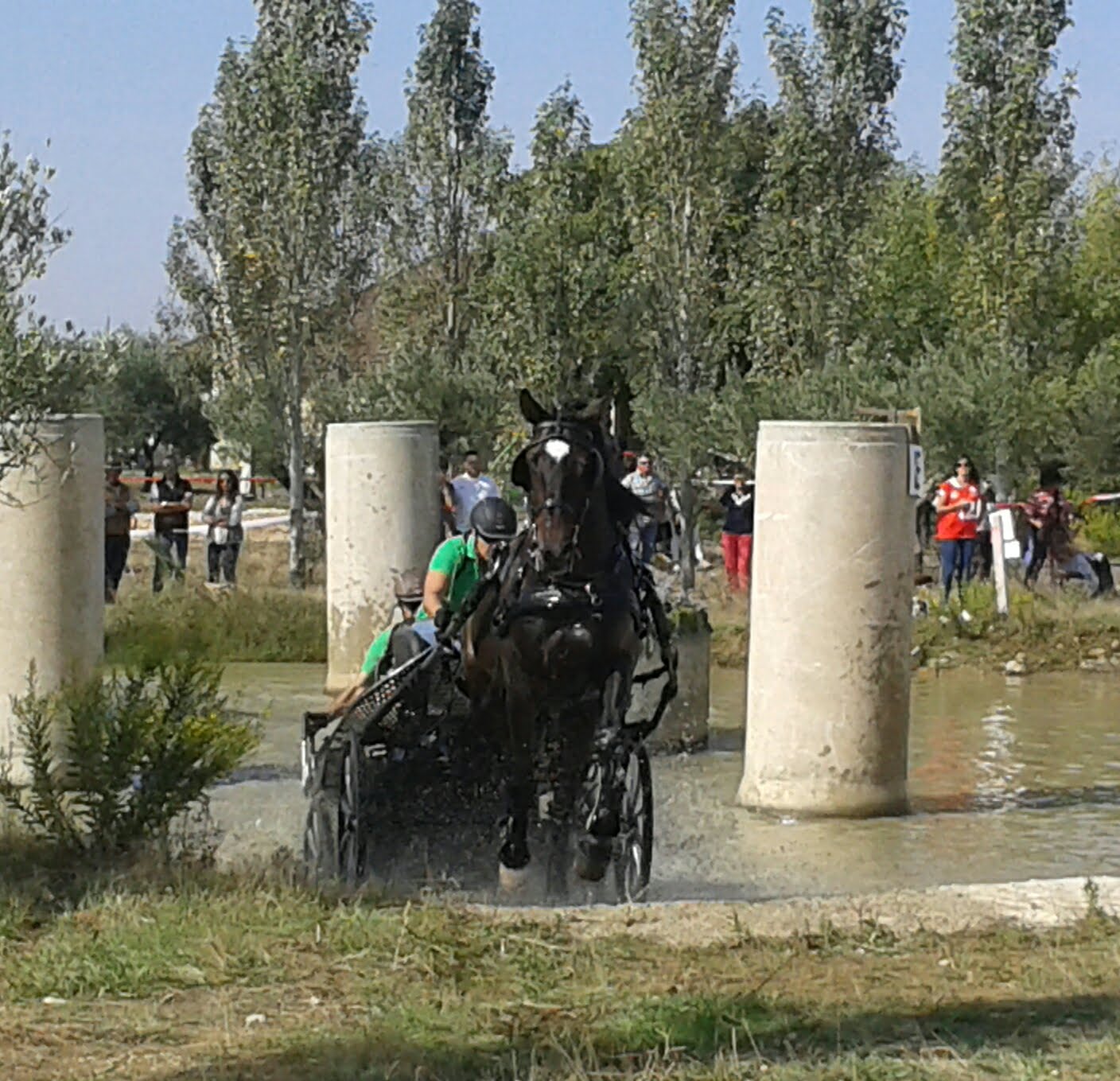 Campeonato Navarro de Enganches Indoor, domingo 24, en &quot;La Pinturita&quot; de Olite